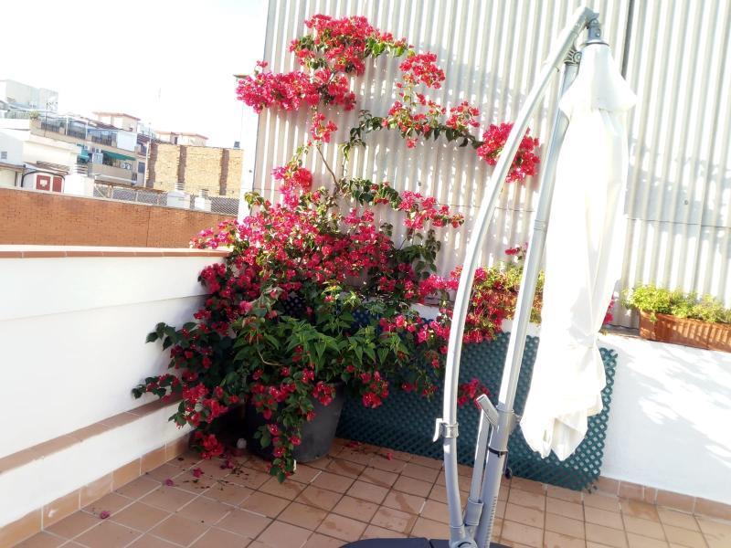 Castel Apartments L'Hospitalet de Llobregat Eksteriør billede